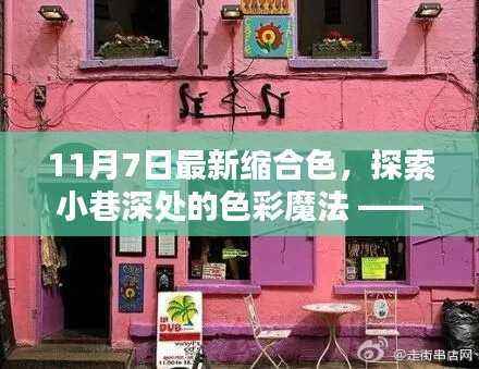 最新缩合色探索，小巷深处的色彩魔法与小店的秘密揭秘