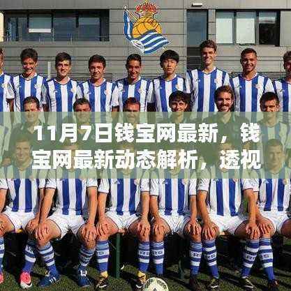 钱宝网最新动态解析,新动向下的机遇与挑战(11月7日)