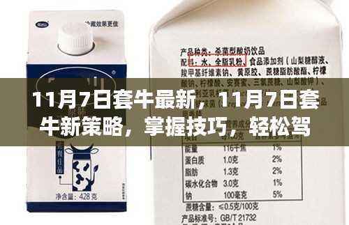 掌握新策略,11月7日套牛最新技巧,轻松驾驭市场波动