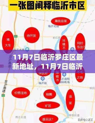 11月7日临沂罗庄区最新地址全面解析,深度评测、特性体验、用户群体分析与对比