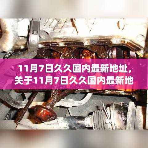 关于涉黄问题11月7日久久国内最新地址的探讨与个人立场分析