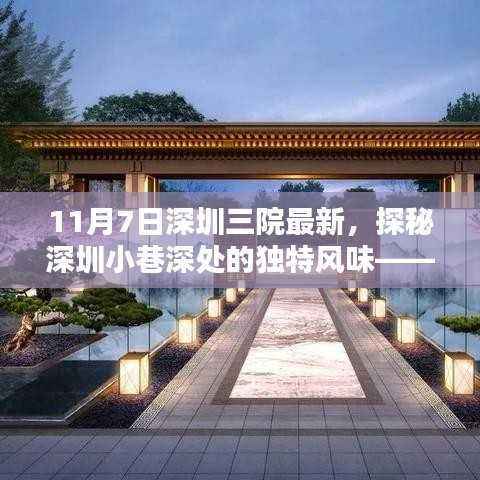 探秘深圳小巷深处的独特风味,三院最新报道,一家隐藏于喧嚣中的特色小店的神秘面纱揭晓