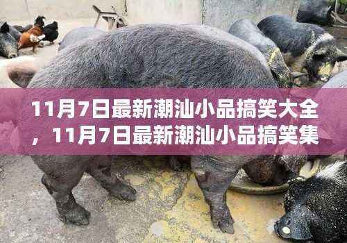 潮汕小品搞笑集锦,文化魅力中的欢笑时光