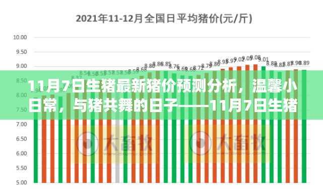 与猪共舞的日子,揭秘最新猪价预测背后的故事