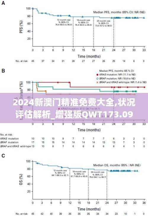 2024新澳门精准免费大全,状况评估解析_增强版QWT173.09