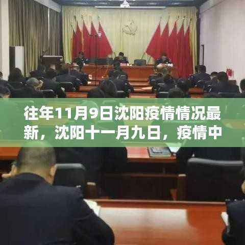沈阳疫情最新动态,往年11月9日的温情日常与友情闪耀时刻