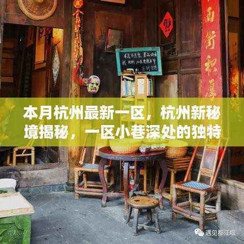杭州新秘境探秘,一区小巷深处的独特风味小店揭秘