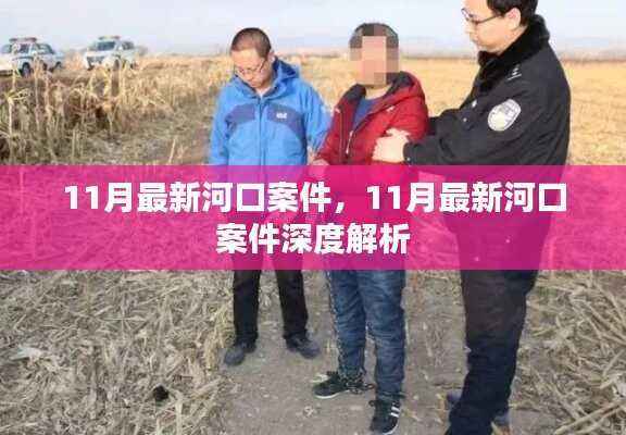 河口最新案件揭秘与深度解析