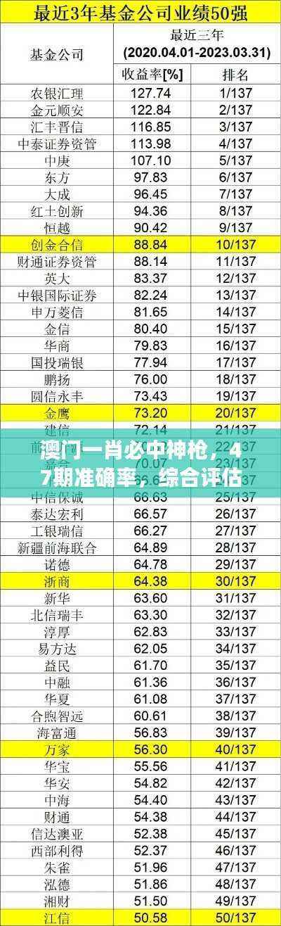 澳门一肖必中神枪，47期准确率，综合评估标准与投入分析LMX485.22
