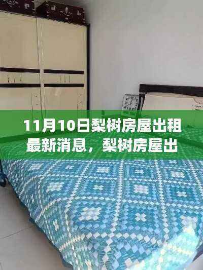 11月10日梨树房屋出租动态,回顾与展望