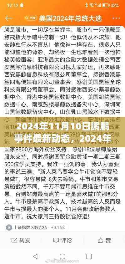 鹏鹏事件最新动态,揭秘真相与进展