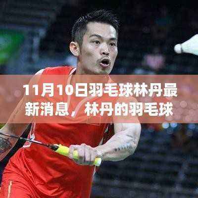 林丹羽毛球精神启示,变化、自信与成就感的鼓舞,最新消息揭秘