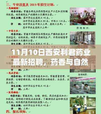 江南烟雨断桥殇 第9页