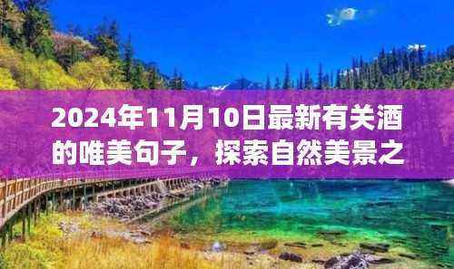 酒与自然的交响乐章，探索美景之旅的奇妙冒险（2024年1月）