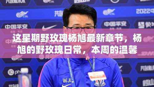 本周杨旭的野玫瑰日常,温馨篇章的新章节更新