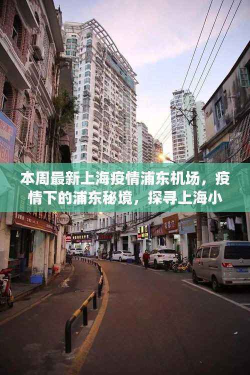 疫情下的上海秘境，浦东机场与小巷小店的最新观察