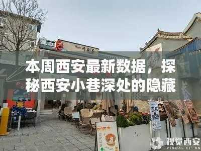 探秘西安小巷深处的隐藏瑰宝，最新特色小店大盘点本周西安数据揭秘