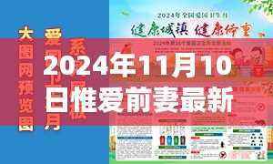 时光之笔下的惟爱前妻,最新章节回顾与影响分析 2024年11月10日更新