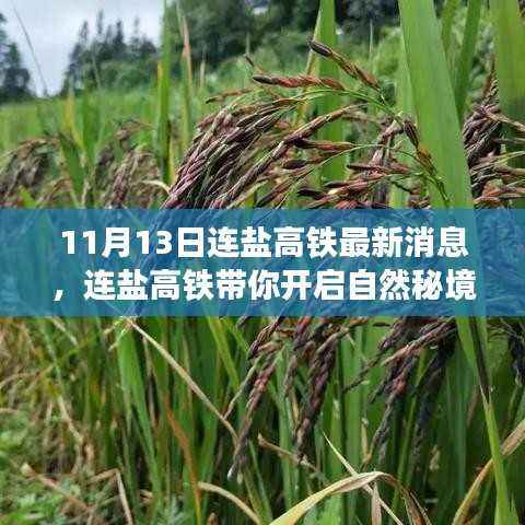 连盐高铁最新动态,启程自然秘境之旅,秋日奇遇等你来探寻