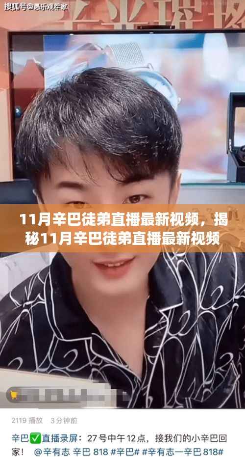 揭秘辛巴徒弟直播新动向,三大看点深度剖析11月最新视频