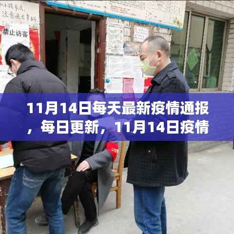 11月14日疫情最新动态,每日更新,共克时艰时刻