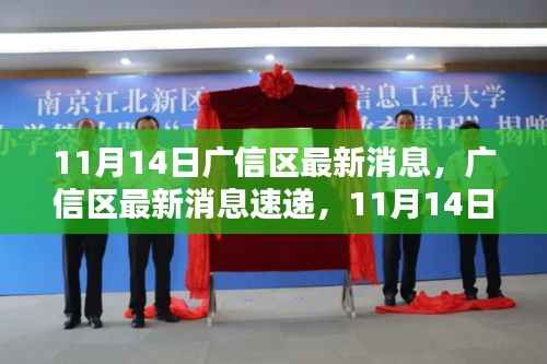 广信区最新消息速递,11月14日热点聚焦揭秘