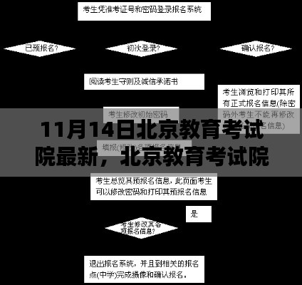 北京教育考试院报名流程详解,初学者与进阶用户报名指南(11月14日更新)