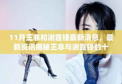 揭秘王非与谢霆锋十一月动态,追踪明星最新消息的轻松途径