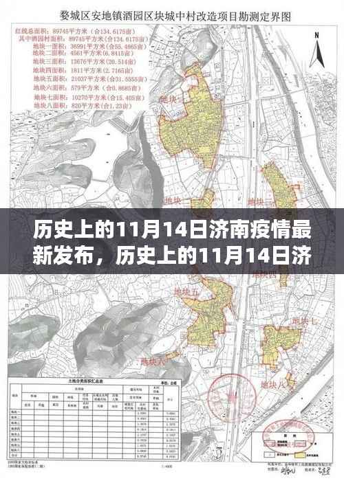 历史上的11月14日济南疫情最新发布深度解析与探讨,疫情动态与要点探讨