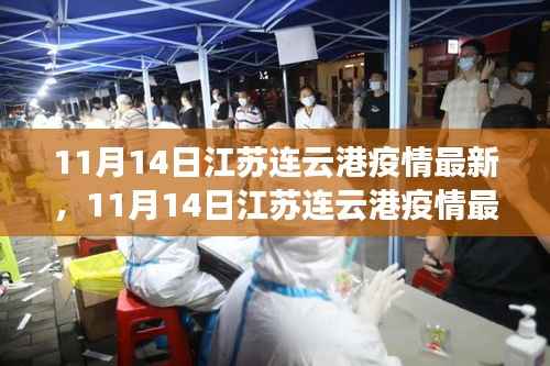 江苏连云港疫情最新动态解析与个人立场阐述(11月14日更新)