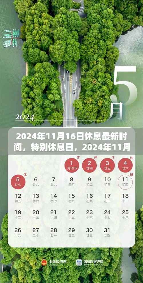 2024年11月特别休息日,暖阳下的欢乐时光