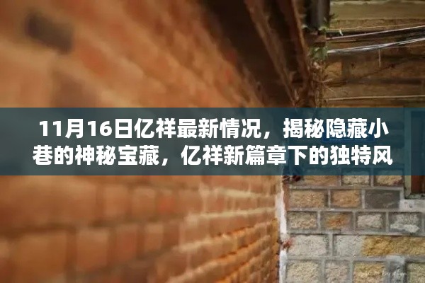 揭秘隐藏小巷的神秘宝藏,亿祥新篇章下的独特风情小店(最新更新日期,11月16日)