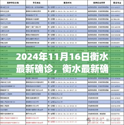 衡水最新确诊情况解析及科普解读(日期,2024年11月16日)