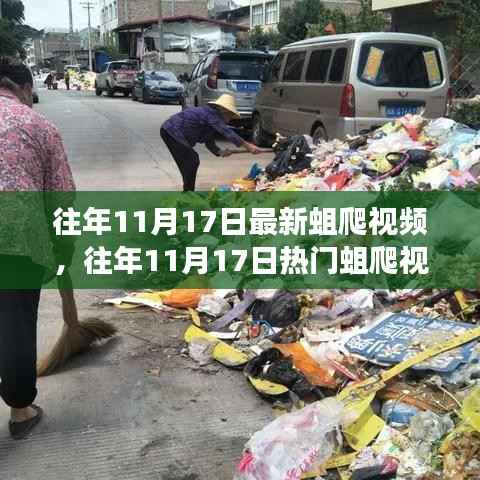 往年11月17日蛆爬视频回顾,网络现象背后的故事探索