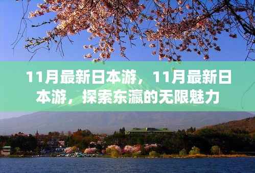 探索日本魅力的十一月之旅,最新日本游攻略