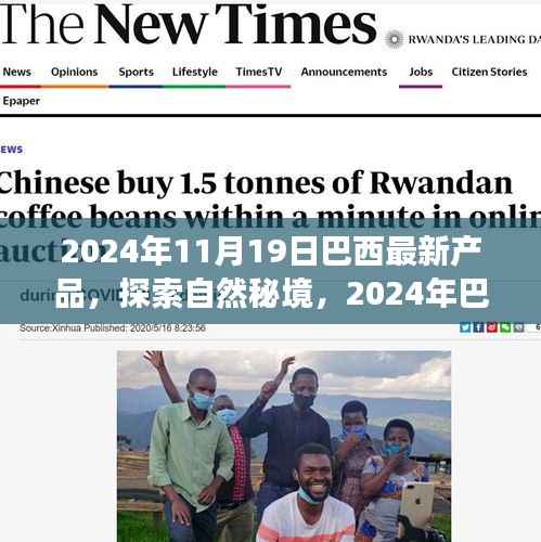 2024年巴西最新产品引领心灵之旅,探索自然秘境