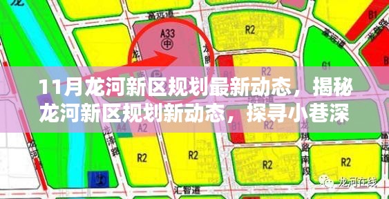 揭秘龙河新区规划最新动态,小巷特色与独特小店探寻之旅