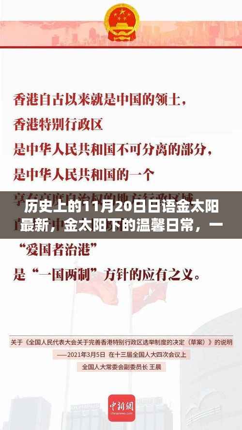 金太阳下的温馨日常,友谊与陪伴的故事