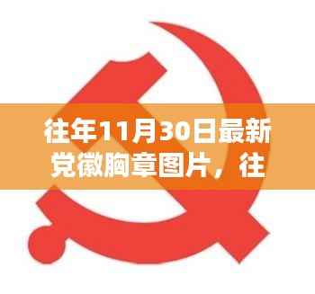 往年11月30日党徽胸章图片探析,一种观点的阐述