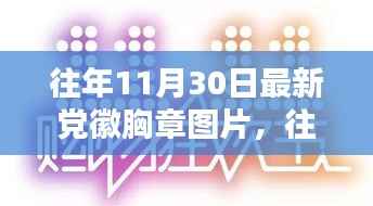 往年11月30日党徽胸章图片探析,一种观点的阐述