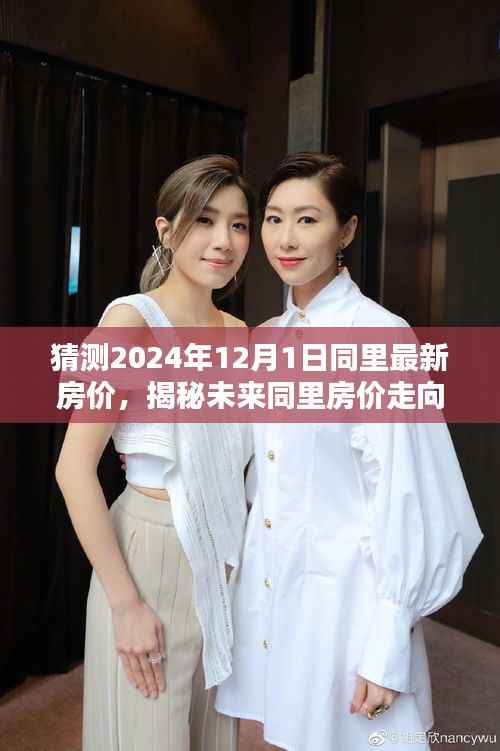 揭秘未来同里房价走向,预测2024年同里房价及小巷风情小店探索