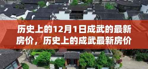探寻成武房价变迁背后的故事与影响,历史上的房价回顾及最新房价动态(12月1日)