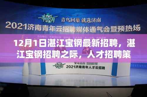 湛江宝钢招聘季,人才策略与个人发展之路探寻