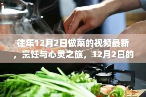 烹饪与心灵之旅,探索美食与自然美景的交融之美——12月2日最新烹饪视频分享