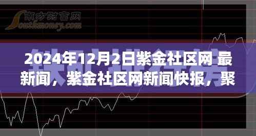 紫金社区网新闻快报,聚焦社区发展新动态,最新消息速递