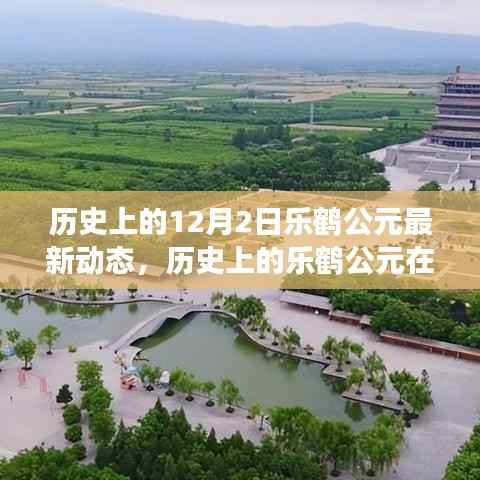 深度解析,历史上的乐鹤公元在12月2日的独特印记与最新动态观察