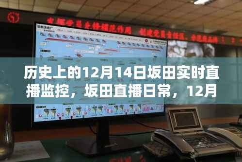 12月14日坂田直播回顾,历史实时监控下的温馨时光
