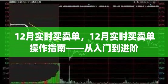 12月实时买卖单操作指南,从入门到进阶