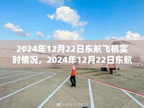 2024年12月22日东航飞机实时情况全面解析