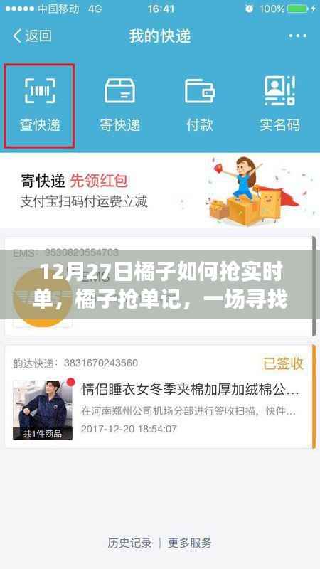 橘子抢单记,寻找内心平静的实时单冒险之旅,12月橘子抢单攻略